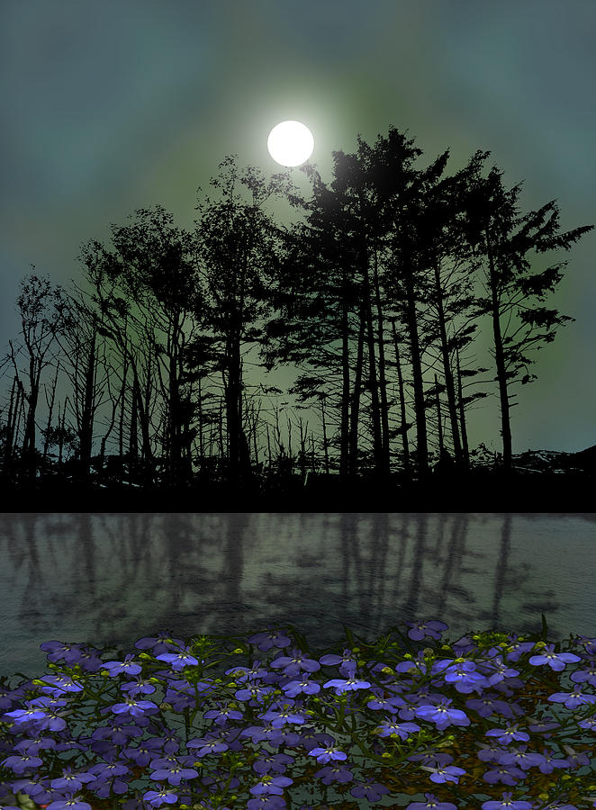 3526 Photograph by Peter Holme III