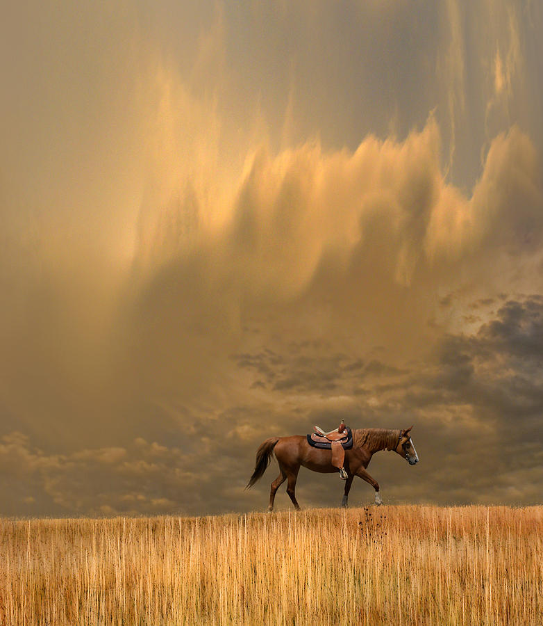 3528 Photograph by Peter Holme III