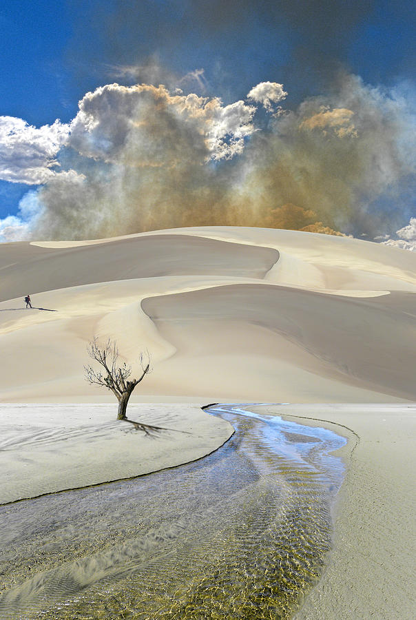 3569 Photograph by Peter Holme III