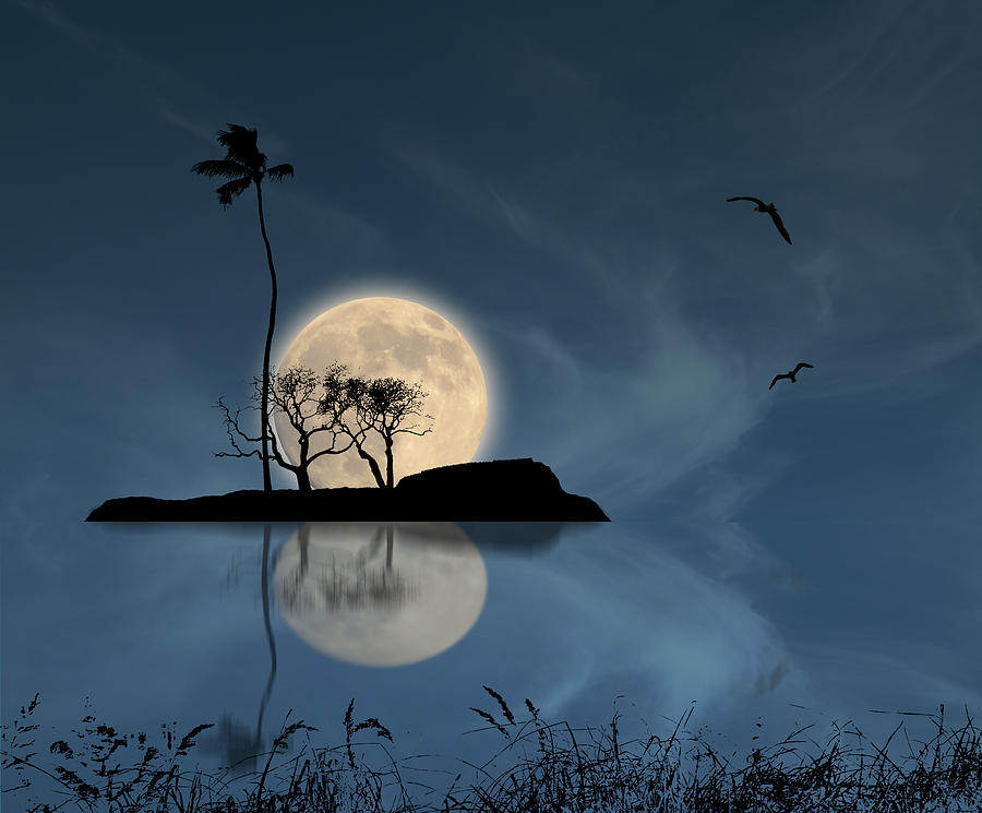 3578 Photograph by Peter Holme III
