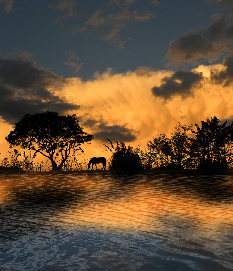 3594 Photograph by Peter Holme III
