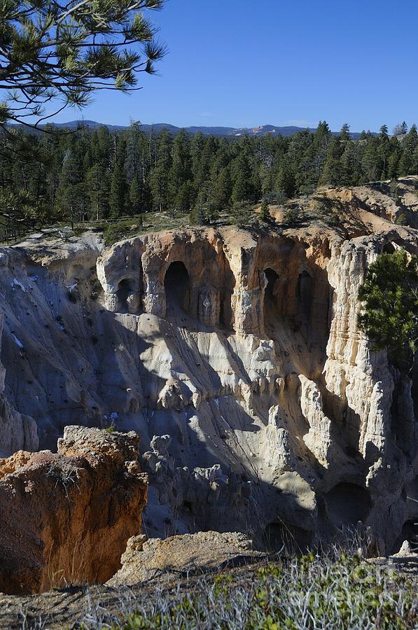 Bryce Canyon #36 Photograph by Marc Bittan