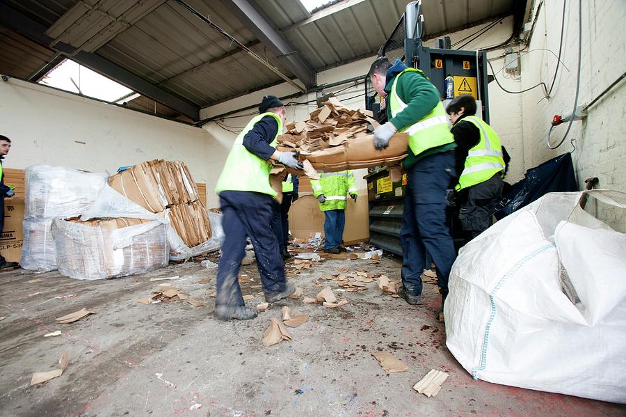 Four People Photograph - Recycling Centre Workplace Charity #36 by Lewis Houghton/science Photo Library
