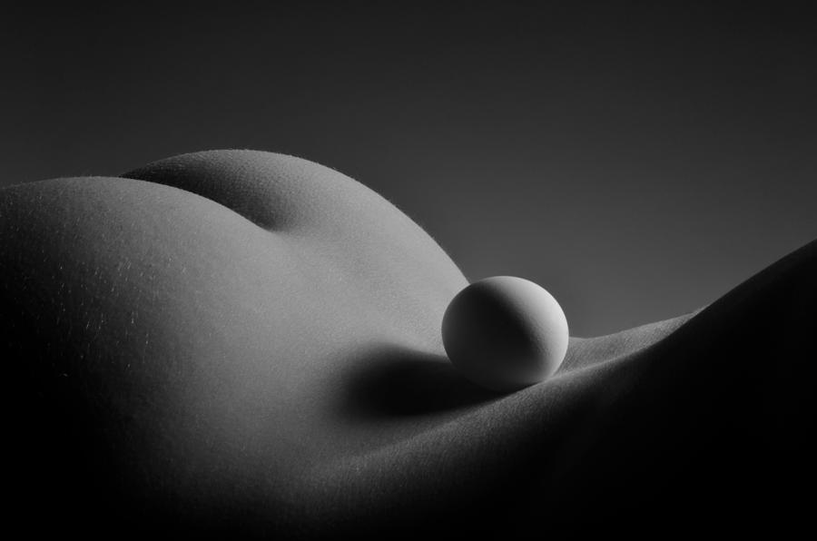 3604 BW Egg Scape Photograph by Chris Maher