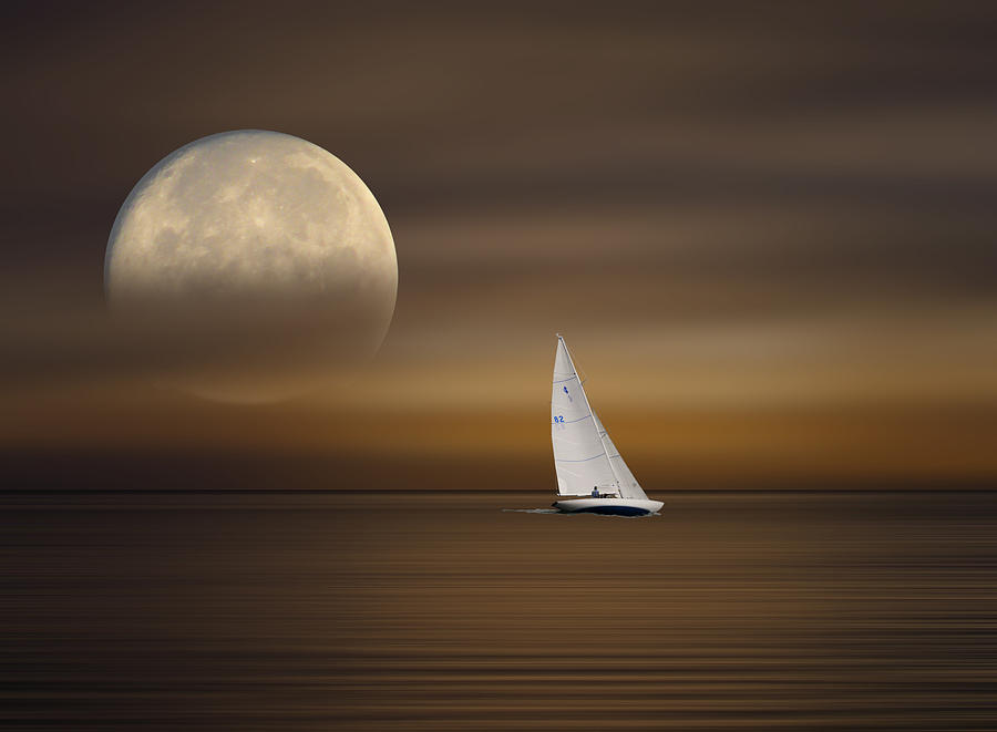 3621 Photograph by Peter Holme III