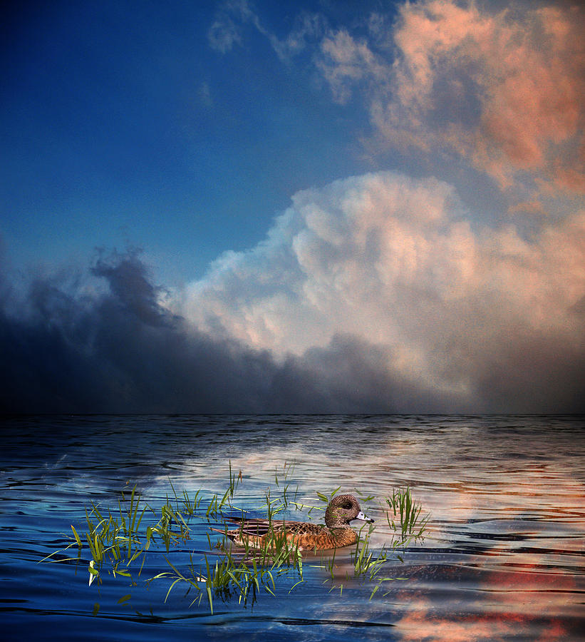 3630 Photograph by Peter Holme III