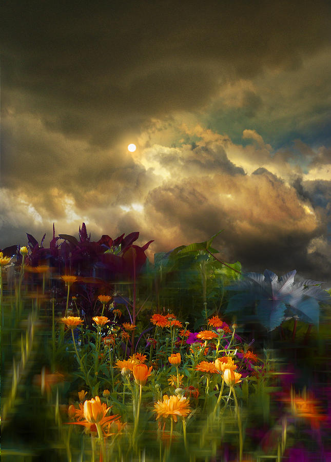 3639 Photograph by Peter Holme III