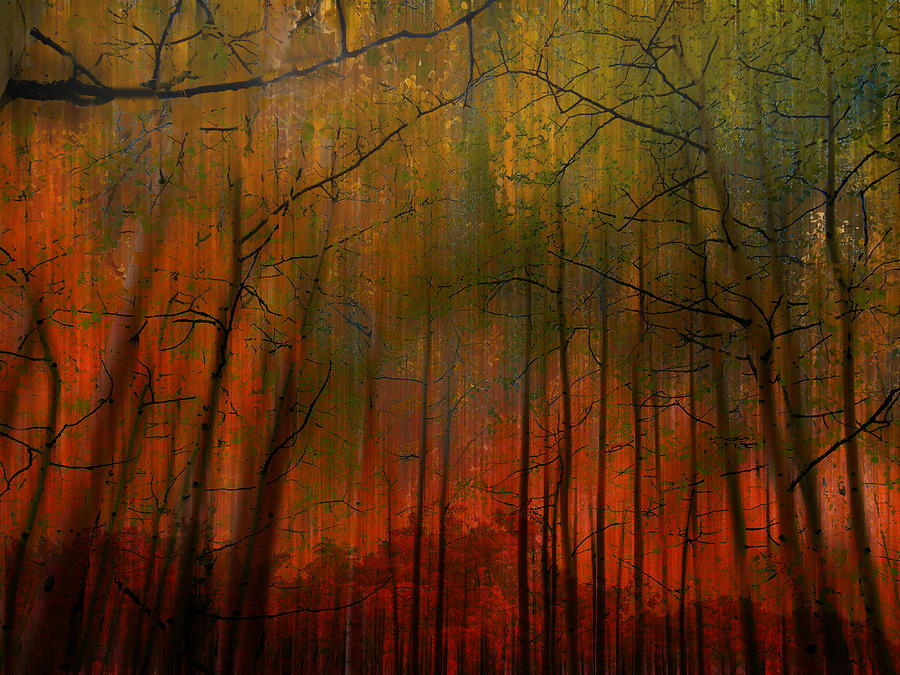 3643 Photograph by Peter Holme III