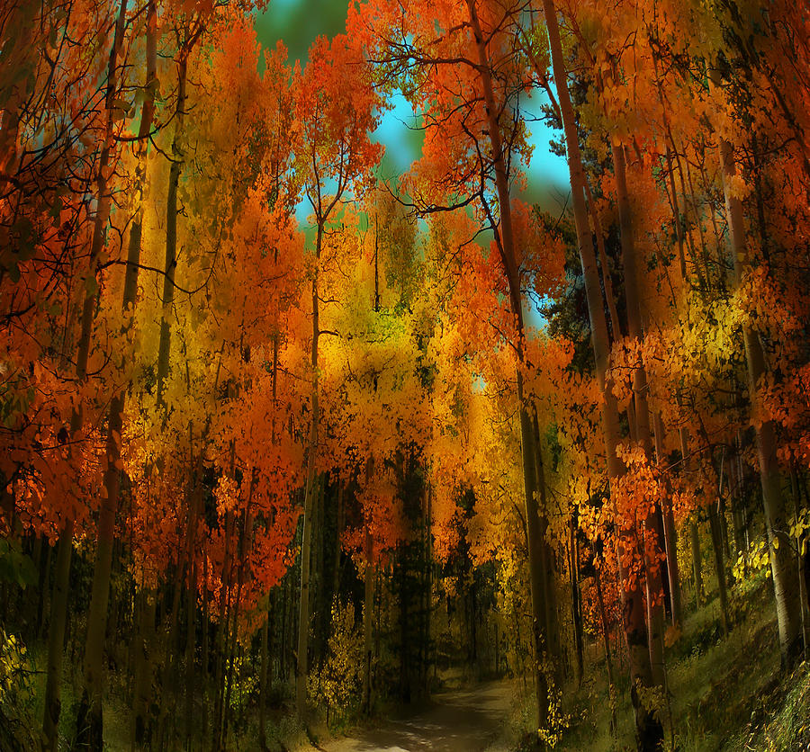 3651 Photograph by Peter Holme III