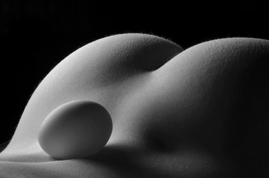 3679 Egg Scape Photograph by Chris Maher