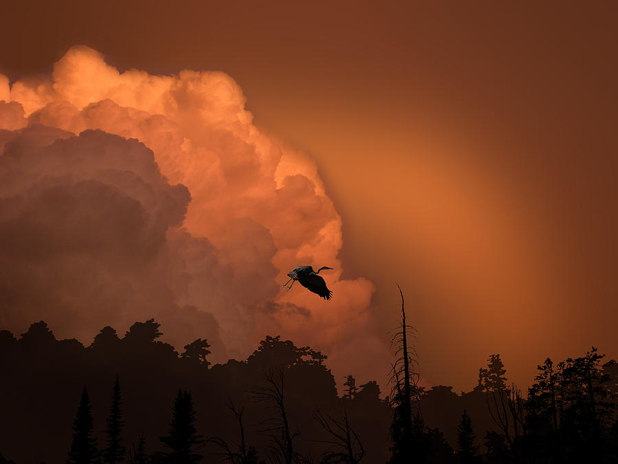 3680 Photograph by Peter Holme III