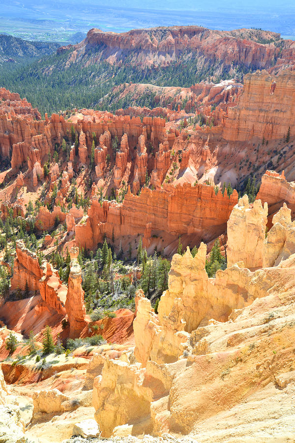 Bryce Canyon National Park Photograph - Bryce Canyon #30 by Ray Mathis