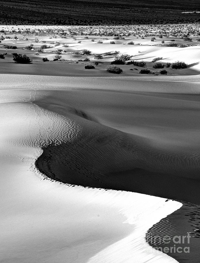 Death Valley #37 Photograph by Marc Bittan