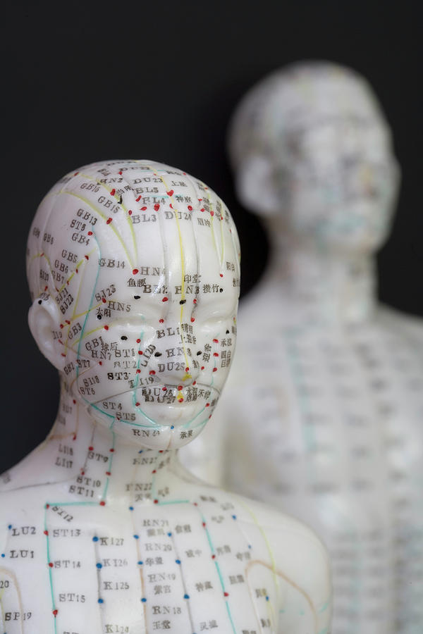 Human Model Showing Acupuncture Points Photograph By Science Stock 