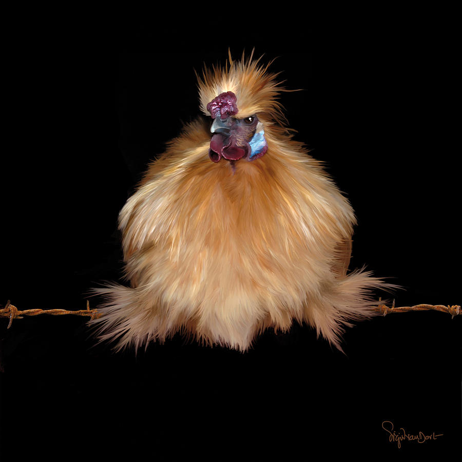 Chicken Digital Art - 37. Jodokus on a wire by Sigrid Van Dort Chicken Digital Art - 37. Jodokus on a wire by Sigrid Van Dort