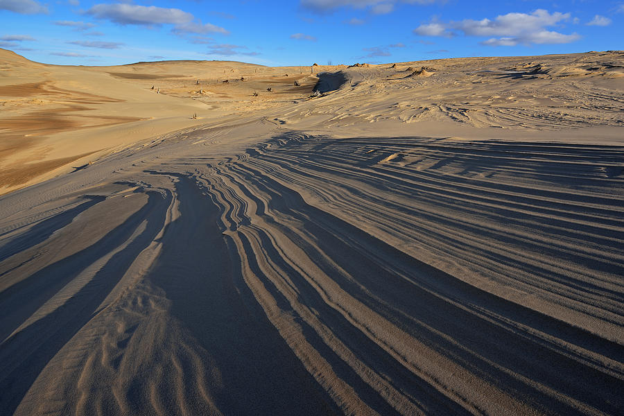 Silver Lake Sand Dunes Photograph by Dean Pennala Fine Art America