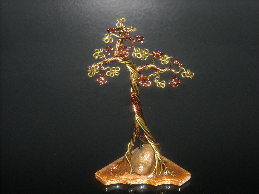 Nature Photograph - #37 Tiny But Standing Tall Bonsai Tree Wire Sculpture #37 by Ricks  Tree Art
