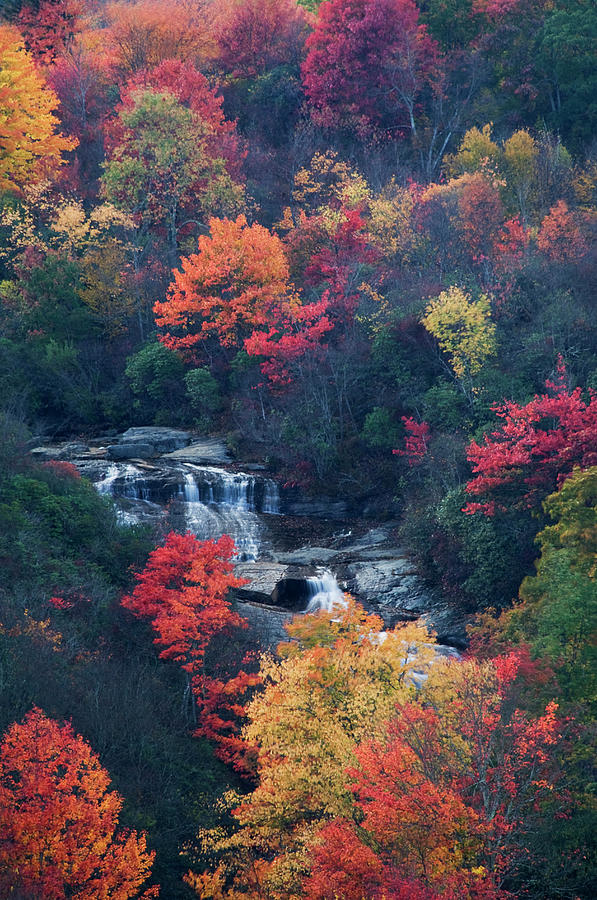 Fall Photograph - USA, New York, Adirondack Mountains #37 by Jaynes Gallery