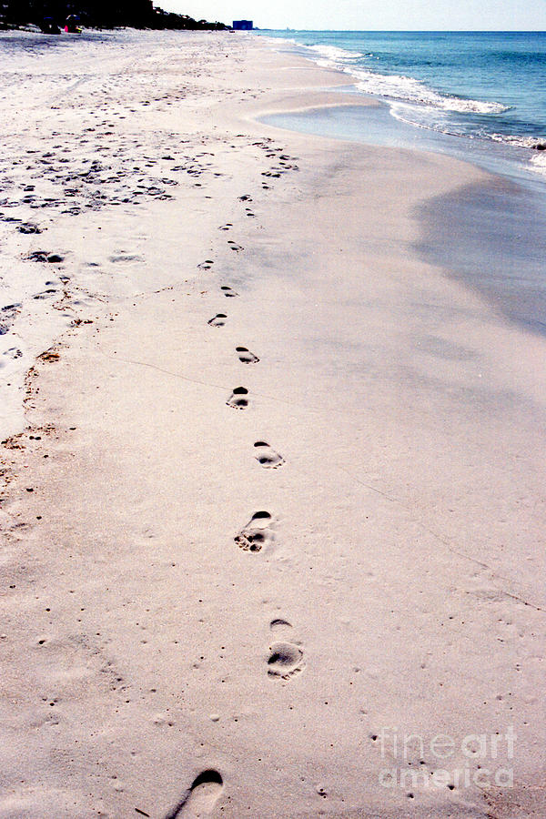 #375 13a Footprints In The Sand Film.jpg Photograph