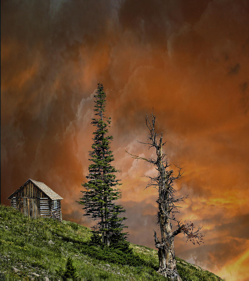 3784 Photograph by Peter Holme III