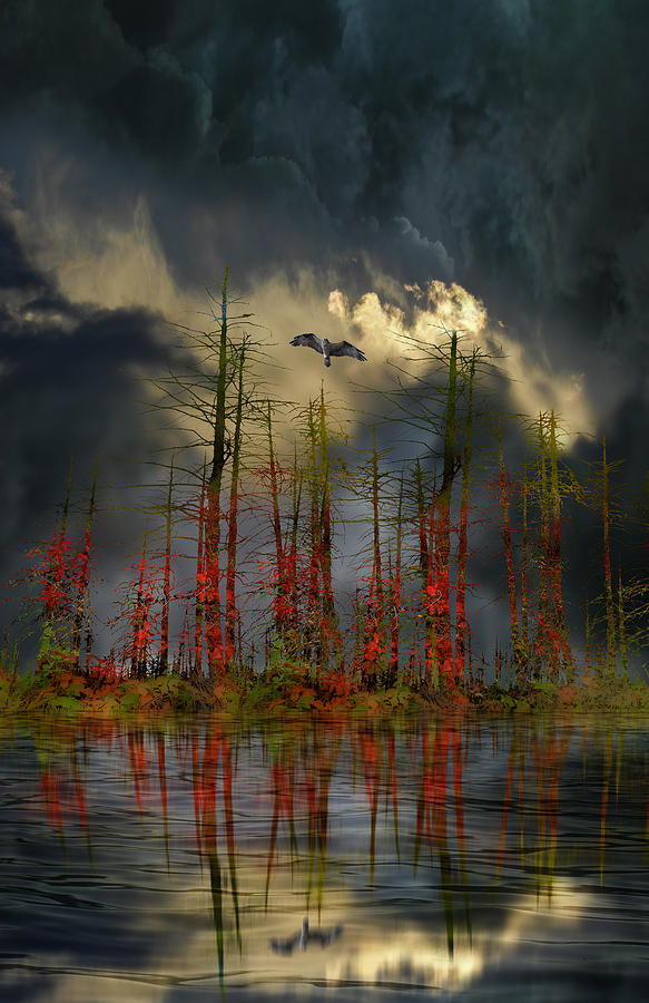 3791 Photograph by Peter Holme III