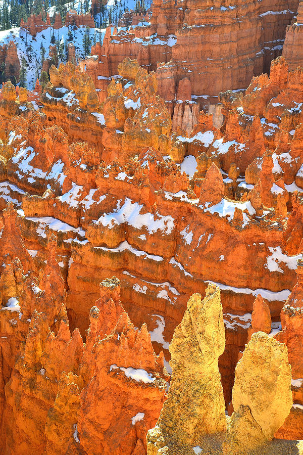 Bryce Canyon #40 Photograph by Ray Mathis