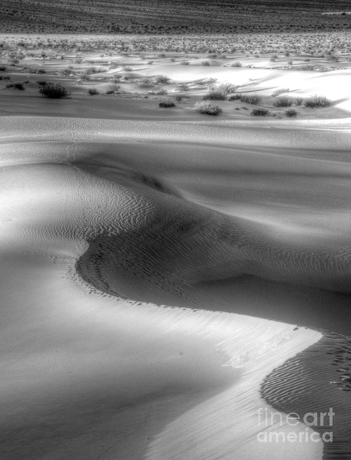 Death Valley #38 Photograph by Marc Bittan