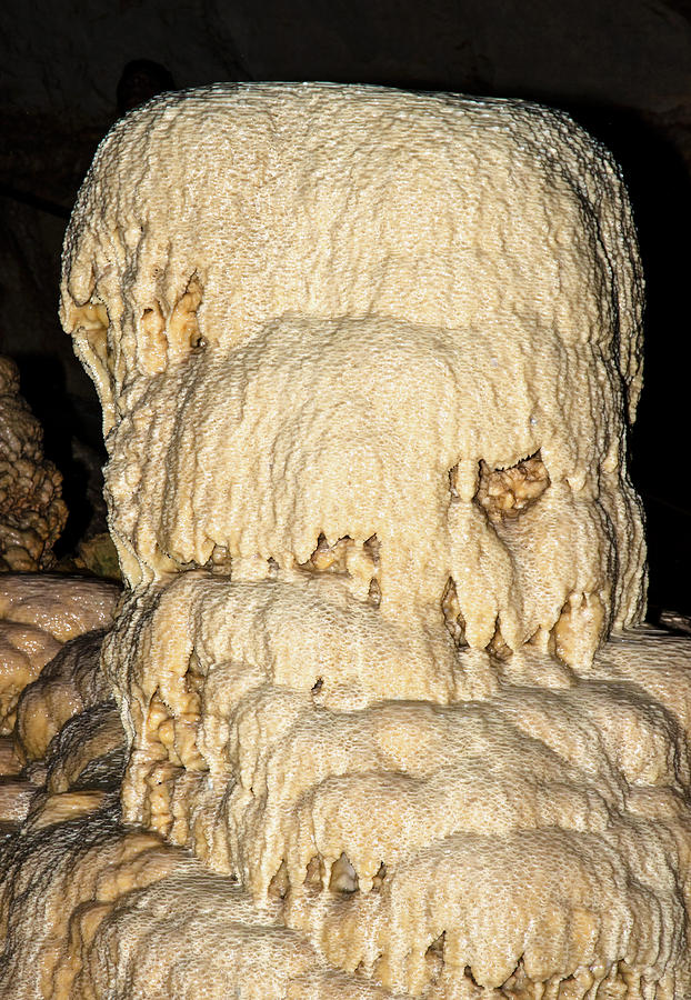 Natural Bridge Caverns, San Antonio, Tx #38 Photograph by Millard H. Sharp