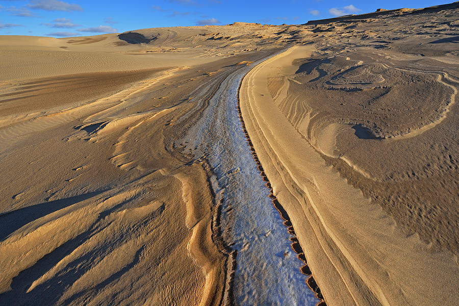 Silver Lake Sand Dunes Photograph by Dean Pennala | Fine Art America