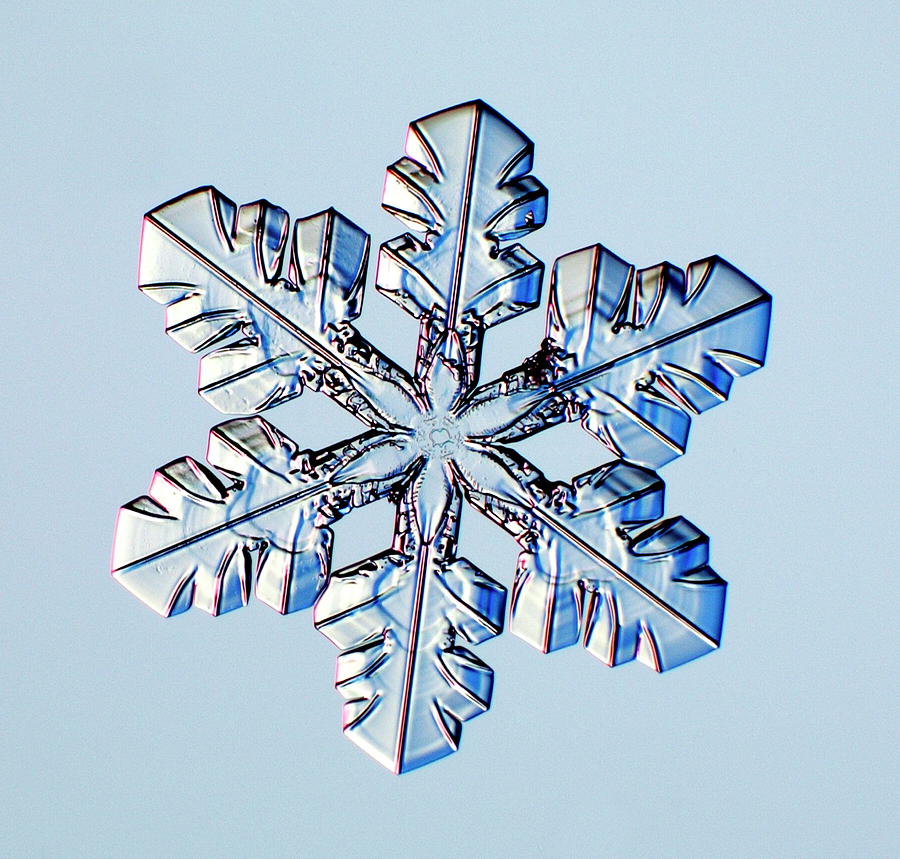 Snowflake #38 Photograph by Kenneth Libbrecht/science Photo Library