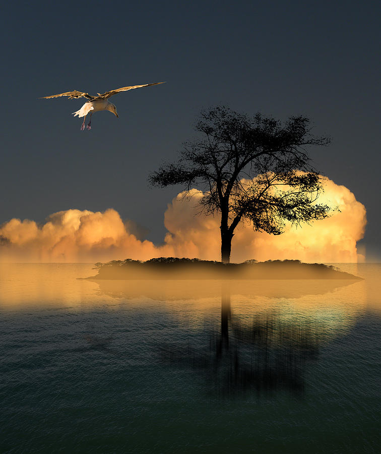 3806 Photograph by Peter Holme III