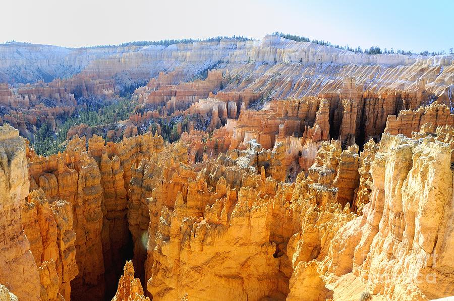 Bryce Canyon #39 Photograph by Marc Bittan