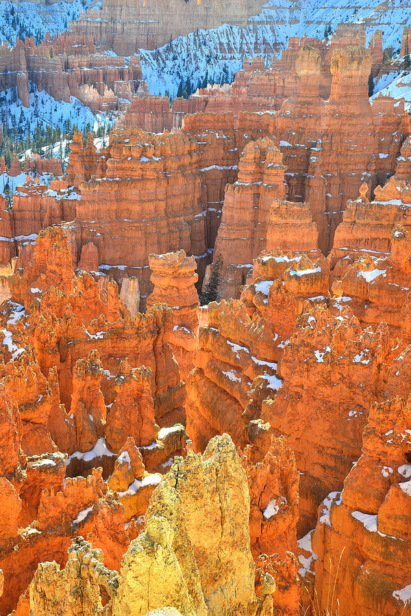 Bryce Canyon #39 Photograph by Ray Mathis