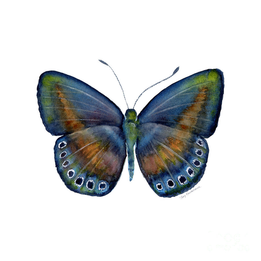 Danis Painting - 39 Mydanis Butterfly by Amy Kirkpatrick