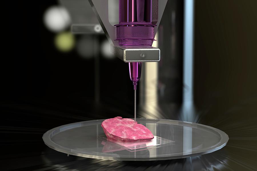 3d Photograph - 3d Bioprinting Of Organs by Ella Maru Studio / Science Photo Library