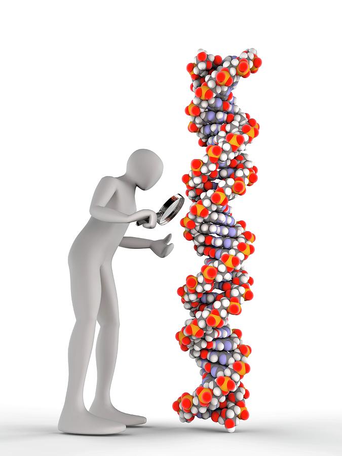 Magnifying Glass Photograph - 3d Man Inspecting Dna Chain by Alfred Pasieka
