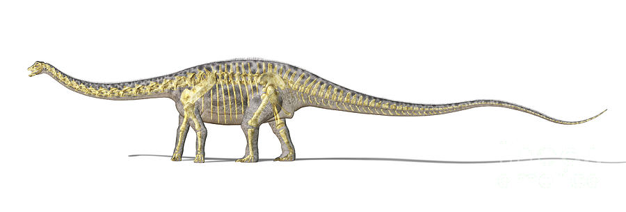 3d Rendering Of A Diplodocus Dinosaur Digital Art
