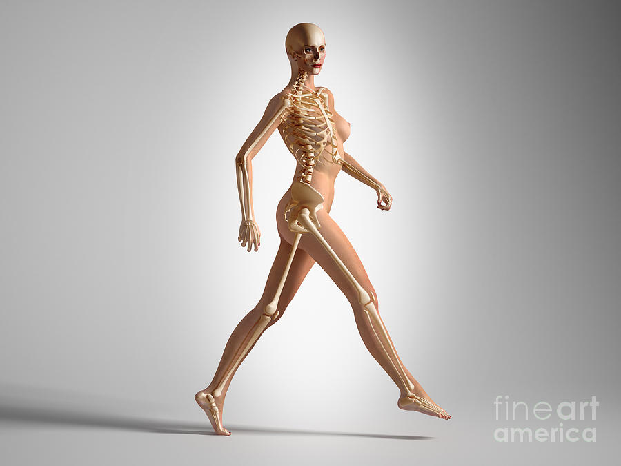 3d Rendering Of A Naked Woman Walking Digital Art by Leonello Calvetti -  Pixels