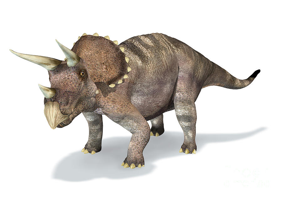 Dinosaur Digital Art - 3d Rendering Of A Triceratops Dinosaur by Leonello Calvetti
