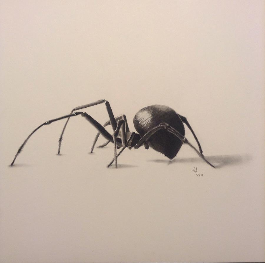 3D Spider Drawing by Aaron Ingle Fine Art America