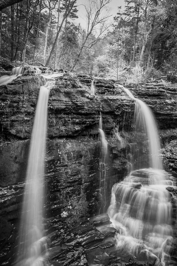  Waterfalls George W Childs National Park Painted BW   #4 Photograph by Rich Franco