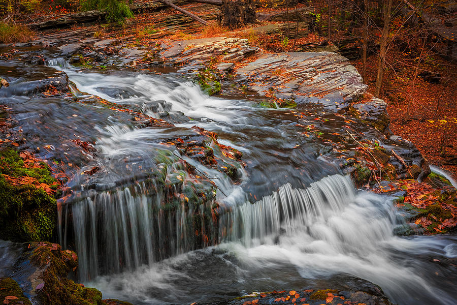 Waterfall Photograph -  Waterfalls George W Childs National Park Painted  #4 by Rich Franco