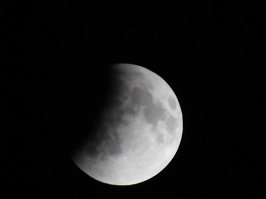 4-14-14 Eclipse Photograph by Susan Sidorski