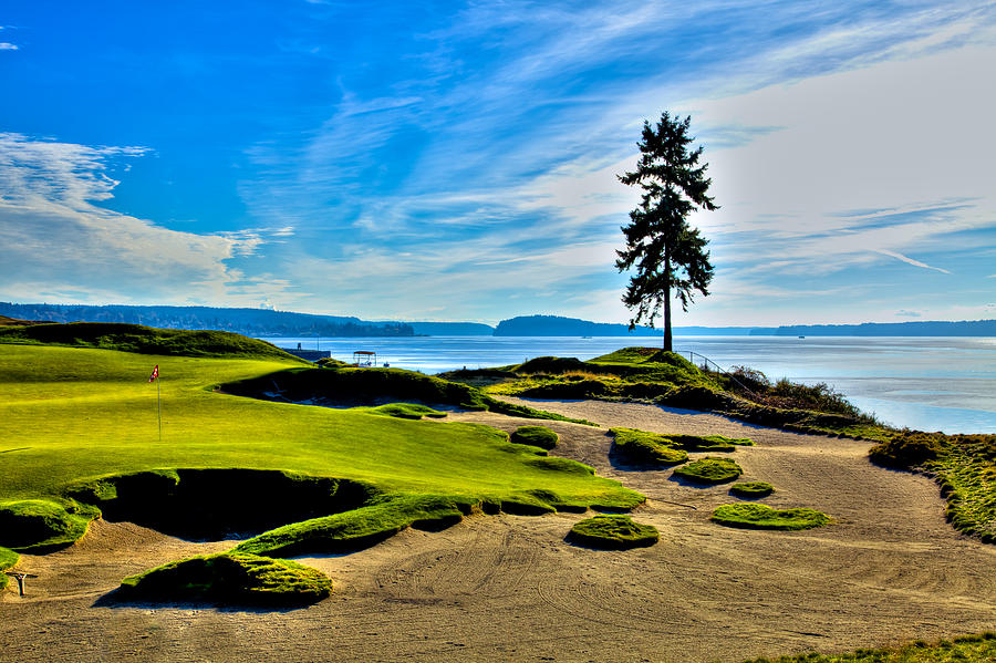 #15 at Chambers Bay Golf Course - Location of the 2015 U.S. Open Tournament Photograph by David Patterson