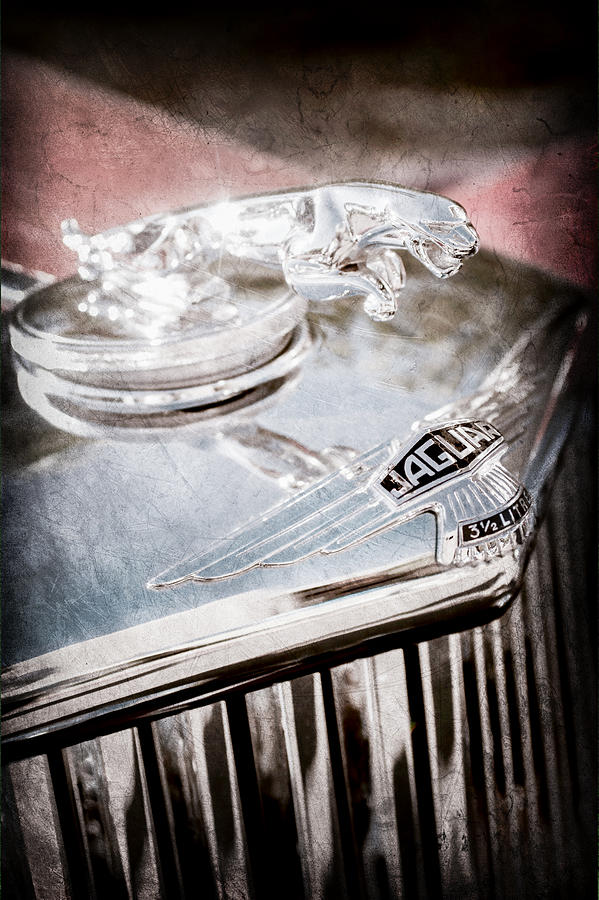 Car Photograph - 1948 Jaguar Mark Iv Drophead Coupe Hood Ornament #4 by Jill Reger