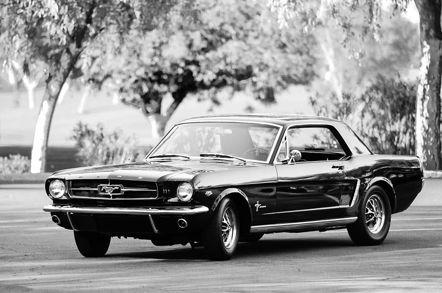 Cobra Photograph - 1965 Shelby Prototype Ford Mustang  #2 by Jill Reger