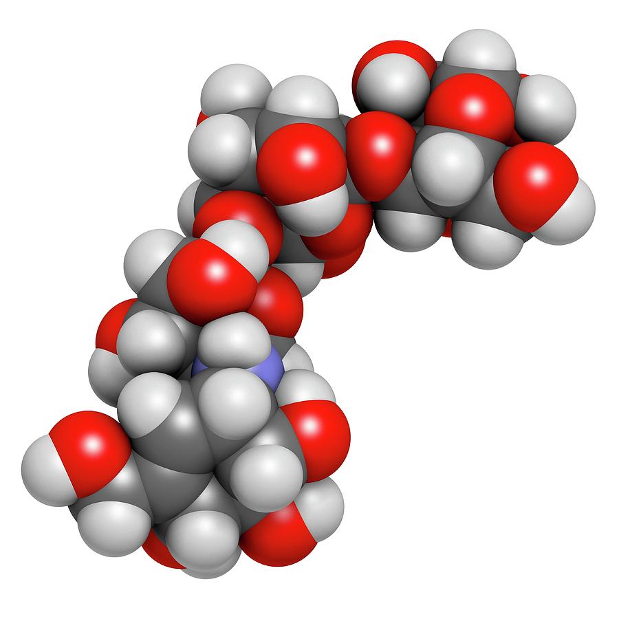 Mellitus Photograph - Acarbose Diabetes Drug Molecule #4 by Molekuul