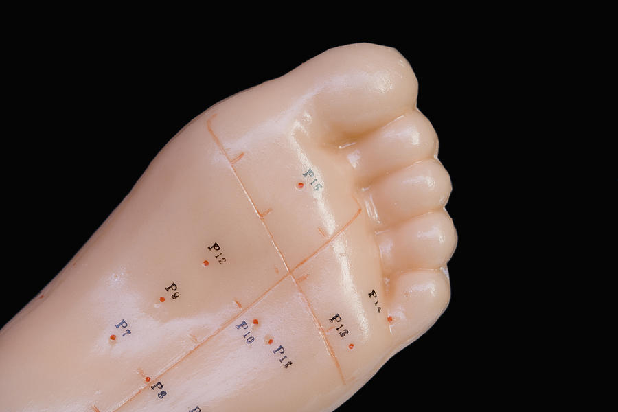 Acupuncture Points #4 Photograph by Science Stock Photography