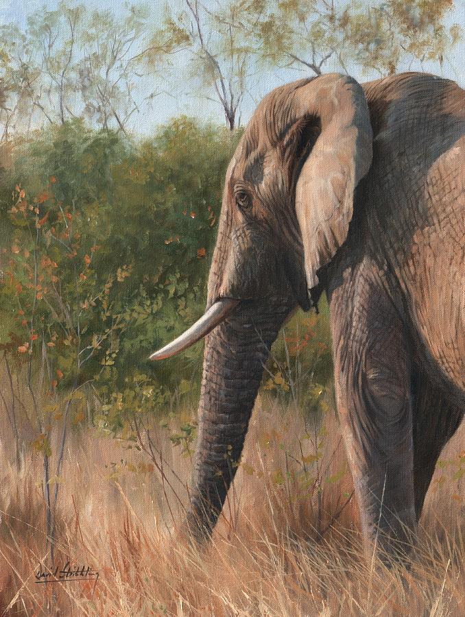 African Elephant #5 Painting by David Stribbling