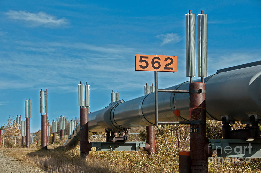 Nature Photograph - Alaska Oil Pipeline #4 by Mark Newman